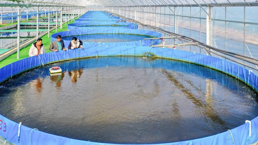 水產養殖行業測量儀表丨液位/水位測量/料位開關丨HBRD雷達液位計