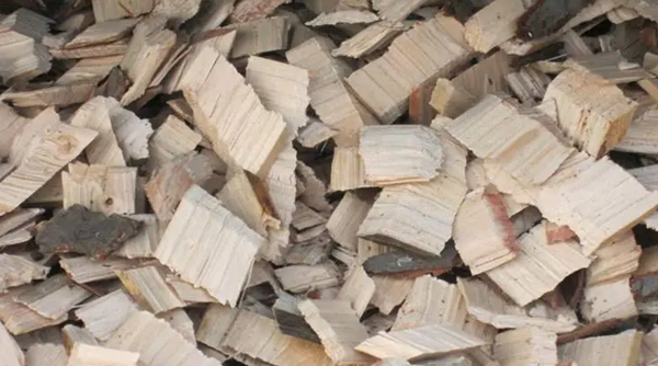 微信圖片_20240416153750