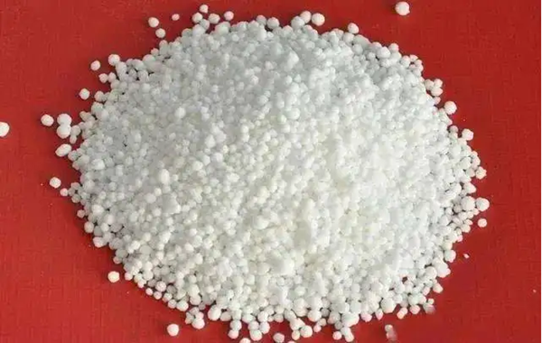 微信圖片_20221215170111