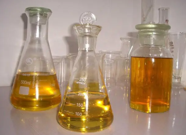 微信圖片_20240827162844