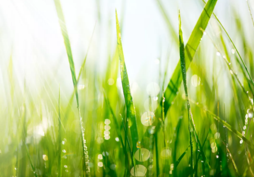 微信圖片_20200324134626