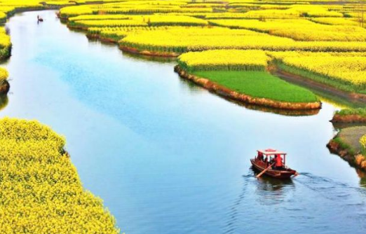 微信圖片_202003241346262