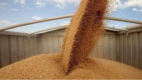 雷達料位計在小麥測量中的應用